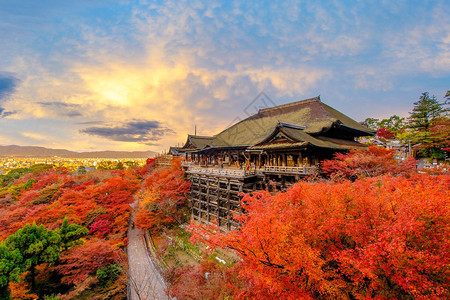 京都秋天的清水寺图片