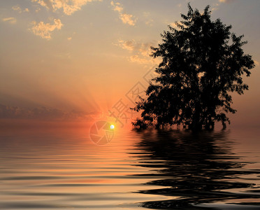 日落背景下水反射中图片