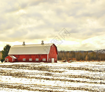 冬季场景中的红色谷仓图片