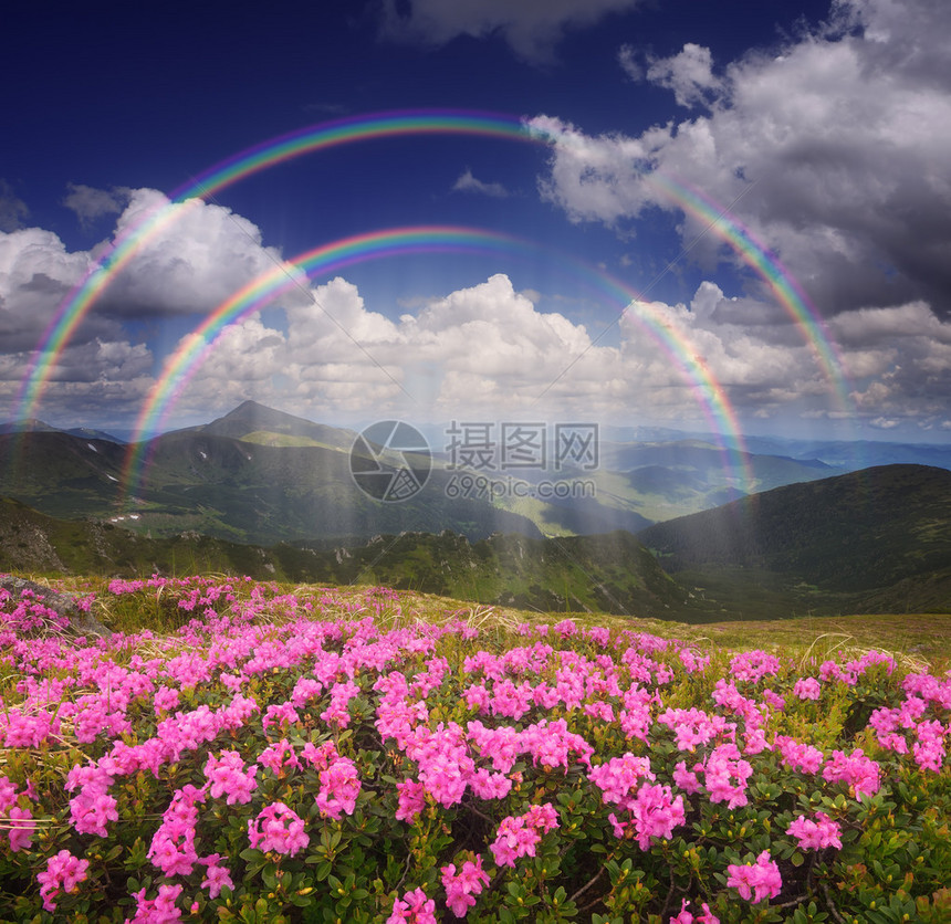 与雨和彩虹的夏天风景山间粉红色的花朵林间空地图片