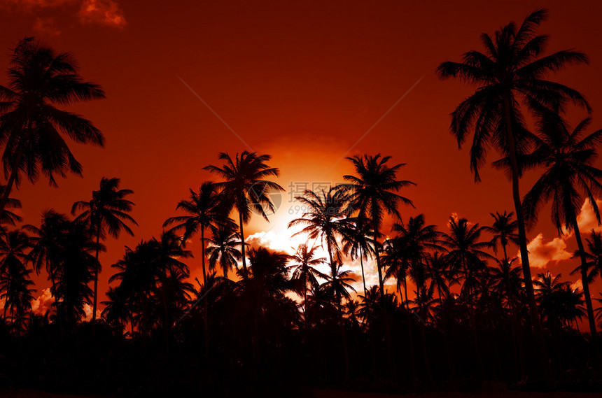 加勒比海滩上的浪漫日落充图片