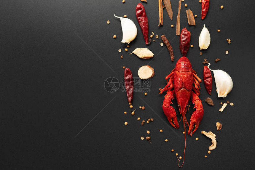 鳄鱼红小龙虾和草药用图片