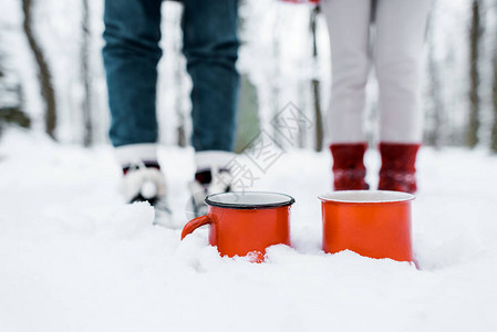 在白雪皑的森林公园里图片