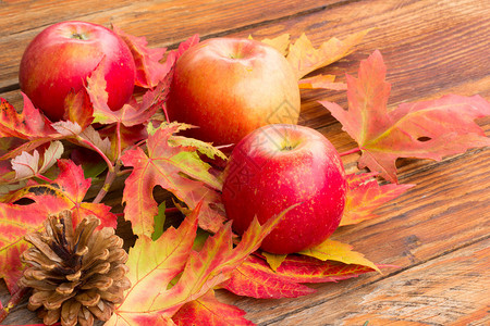 3个红成熟苹果松果和明秋叶在木图片