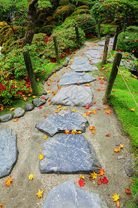 日本庭园枫叶鹅卵石小径图片