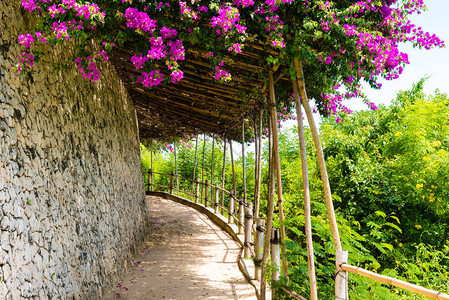 热带鲜花和竹屋结构覆盖图片