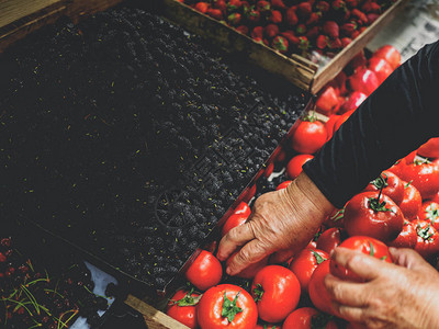 在格罗吉亚市场上选择西红柿的老年妇图片