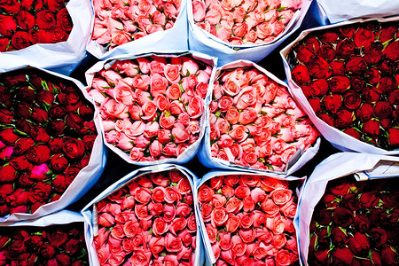 在曼谷夜花市场提供的玫瑰花朵高清图片
