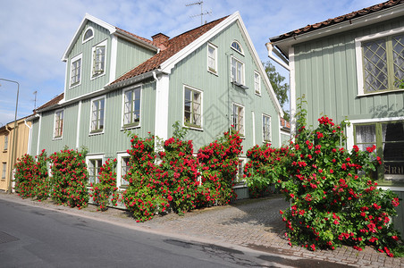 有老房子和红玫瑰的街道图片