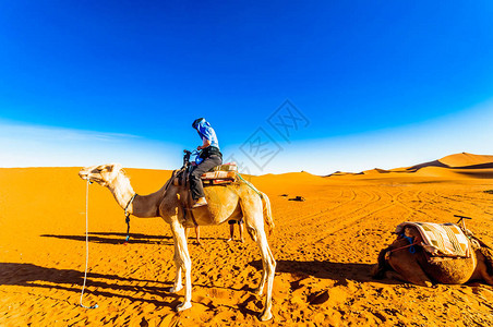 在摩洛哥沙漠中骑骆驼旅行的骆驼女孩近在摩洛哥的下游M图片