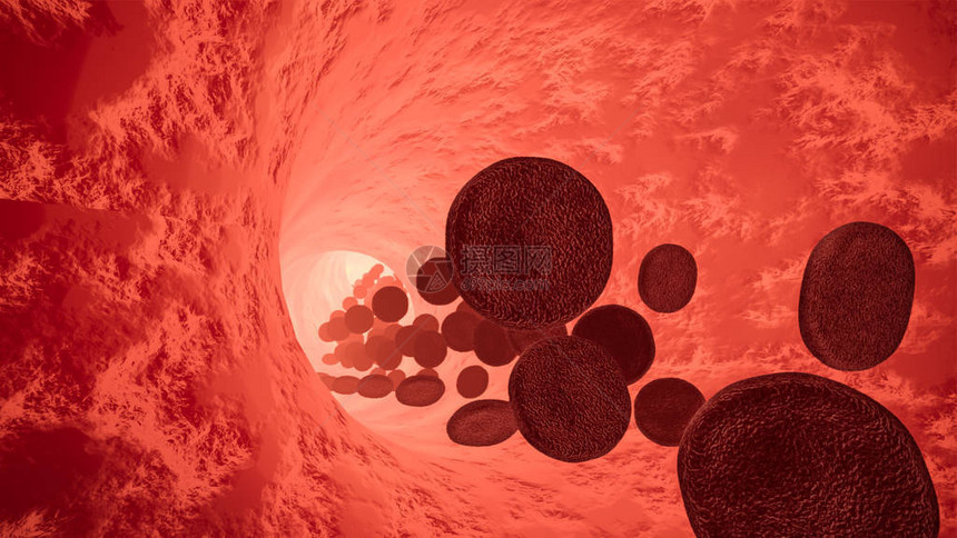 人体动脉中红细胞的3D渲染图图片