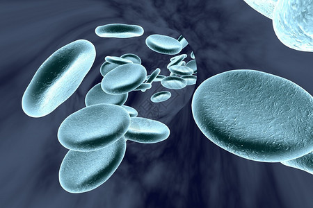 血管显微镜观察红细胞红细胞背景科学背景医学背景循环系统背景图片