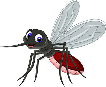 可爱的蚊子卡通插图图片