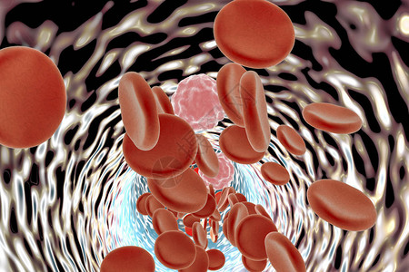 装有红血细胞和白血细胞的血背景图片
