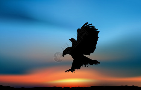 老鹰在夕阳下打猎艺术插图图片