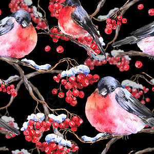 水彩冬季无缝背景与红腹灰雀和罗文枝背景图片