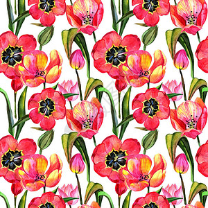 水彩风格的野花郁金香花卉图案图片