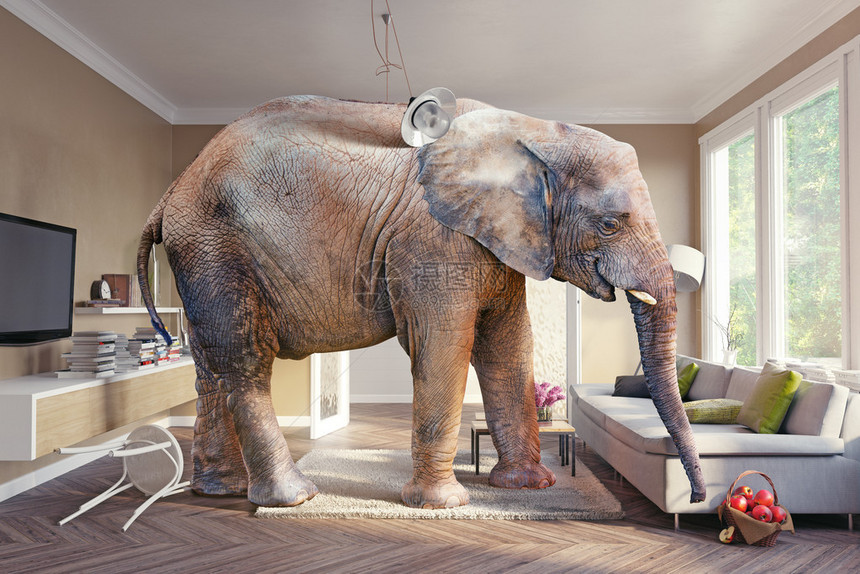 大象和客厅里的苹果篮3d概念图片