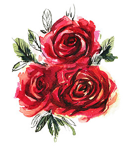 白色背景的红水彩玫瑰图片