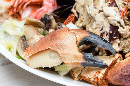 泰国菜碟蟹肉和贝壳图片