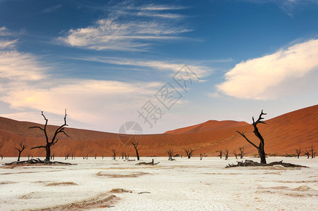 非洲纳米比亚的背景图片