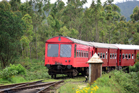 斯里兰卡客运列车图片