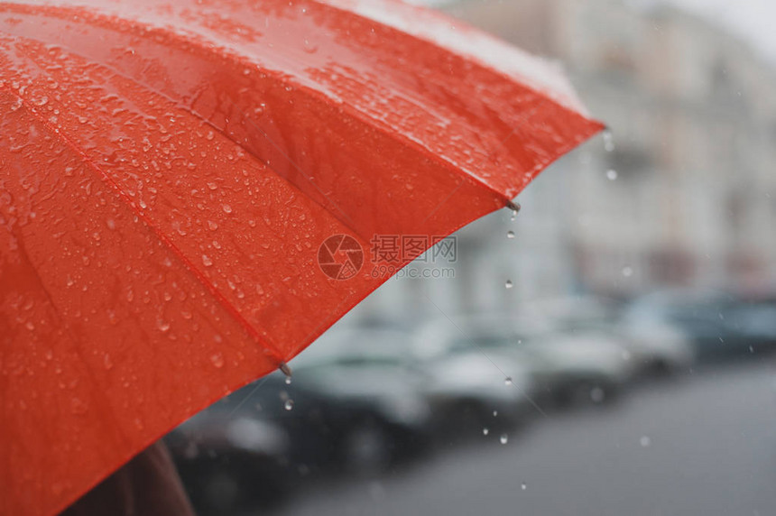 雨滴从橙色雨伞上落下图片