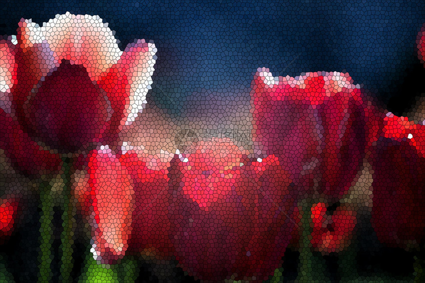 春天盛开的红色郁金香花图片