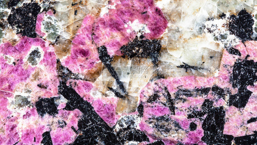 抛光粉红色eudialyte矿物的全景背图片