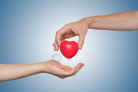 心脏移植和器官捐赠概念手图片
