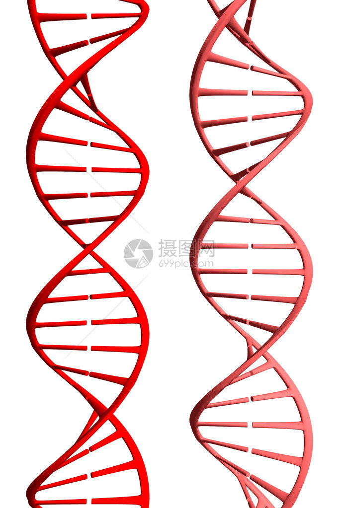 红色DNA的照片图片