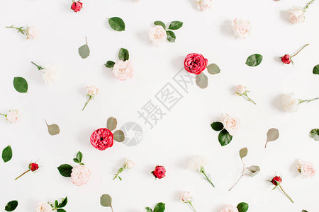 美丽的圆形框架花环纹理与红色和米色玫瑰花蕾树枝和树叶隔离在白色背景图片