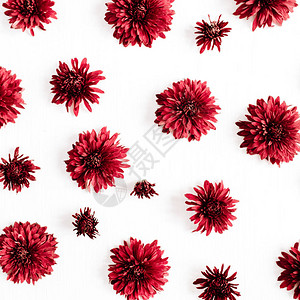 红花朵模式图片