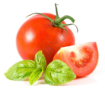 孤立的番茄白色的罗勒叶图片