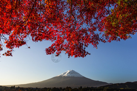 富士山与红秋叶日本图片