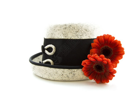 灰色黑帽子红色花朵在背景图片