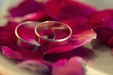 结婚戒指和勃艮第玫瑰花瓣图片