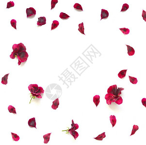 红玫瑰花瓣微风背景图片