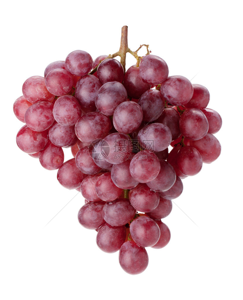 新鲜的红葡萄分支在白色背景上被隔离图片