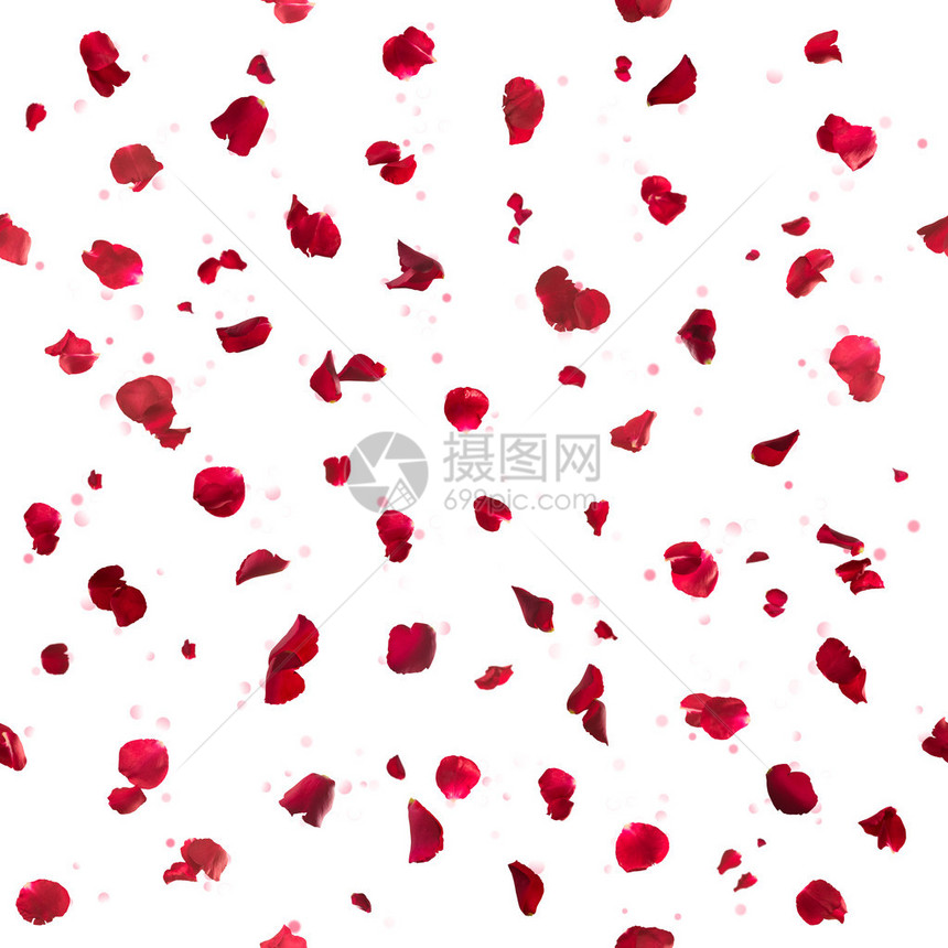 无缝的红玫瑰花瓣图片