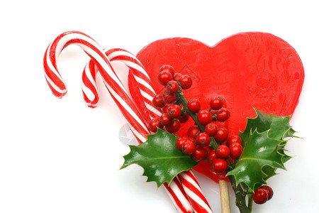 圣诞糖果甘蔗和一枝胡利树枝在白色背景图片