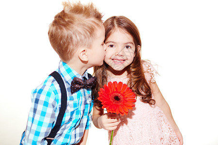 小男孩亲吻可爱的女孩红色的雪贝拉花朵图片
