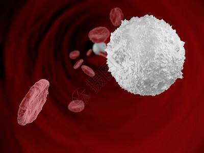 内装红血细胞和白血细胞的血管图片