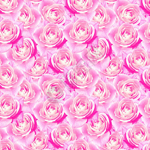 粉红茶玫瑰花无缝花纹理背景图片