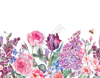 古老的花园水花紫花郁金香图片