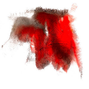 白色背景上孤立的红色黑红宏观斑图片