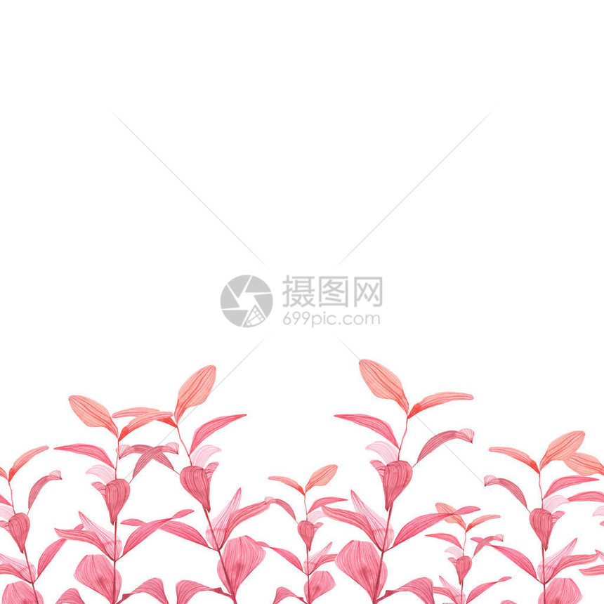 茎红叶水彩图片