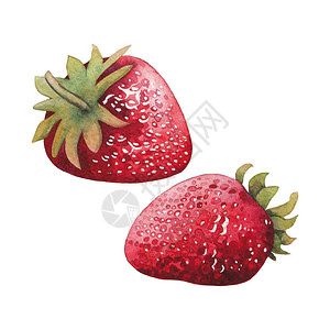 两片水彩草莓白色背景的手画植物图示图片