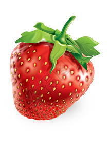光栅图白色背景上的草莓背景图片
