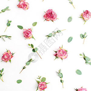 红玫瑰花朵和白底树枝的花香模式图片